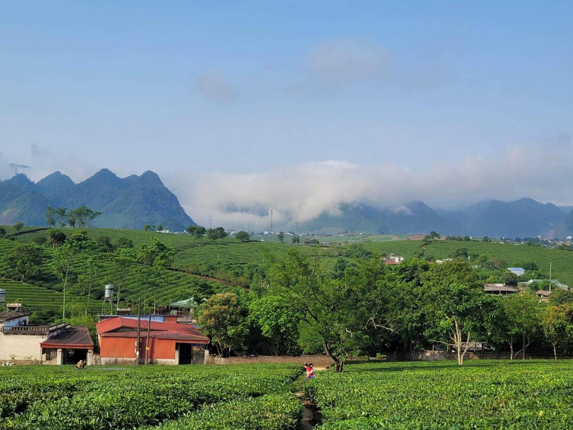 Mum Homestay Moc Chau Dış mekan fotoğraf