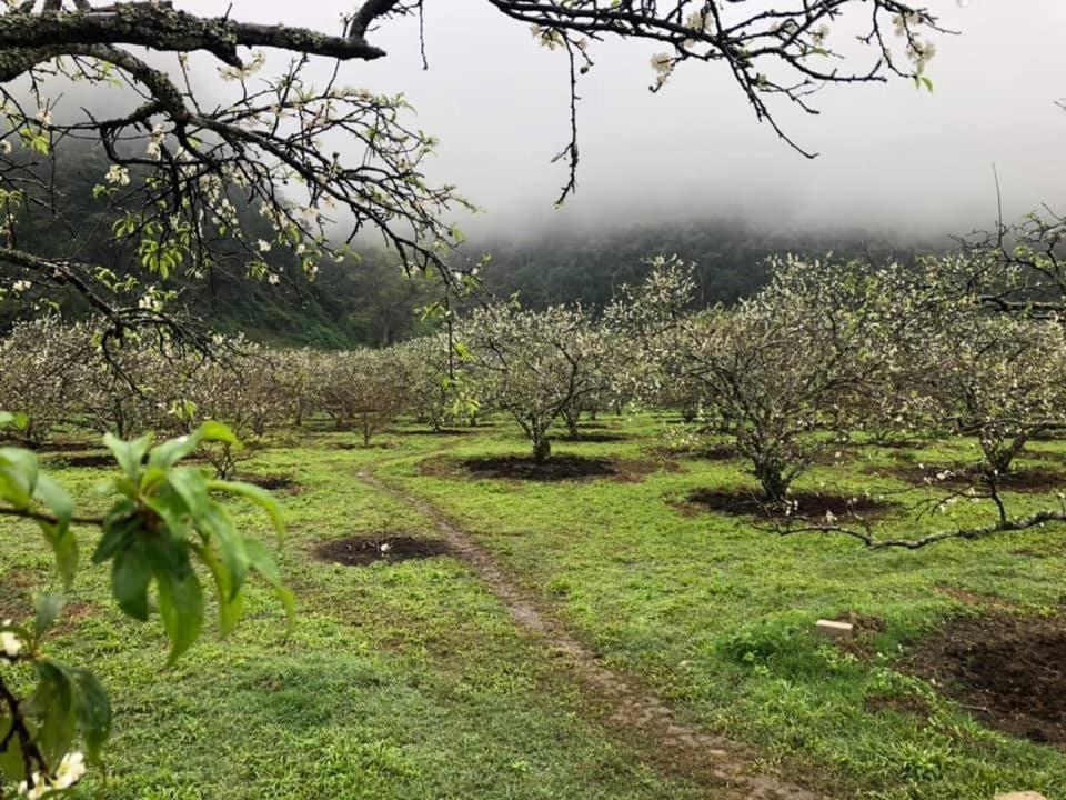 Mum Homestay Moc Chau Dış mekan fotoğraf