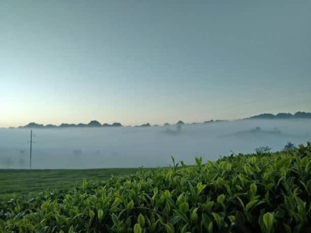 Mum Homestay Moc Chau Dış mekan fotoğraf